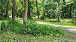 2001 W State Road 56 Salem IN 47167 | MLS 202508469 Photo 12