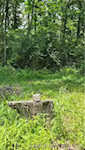 2001 W State Road 56 Salem IN 47167 | MLS 202508469 Photo 11