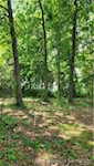 2001 W State Road 56 Salem IN 47167 | MLS 202508469 Photo 9