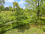 1606 Harry Hughes Rd Charlestown IN 47111 | MLS 202508487 Photo 11
