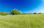 3215 Mount Solomon Rd Nw Corydon IN 47112 | MLS 202508562 Photo 89