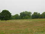 8960 Turkey Farm Rd Nw New Salisbury IN 47161 | MLS 202508570 Photo 12