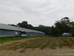 8960 Turkey Farm Rd Nw New Salisbury IN 47161 | MLS 202508570 Photo 8