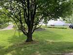 1861 Old Salem Rd Lanesville IN 47136 | MLS 202508168 Photo 64