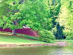 1861 Old Salem Rd Lanesville IN 47136 | MLS 202508168 Photo 21