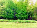 1861 Old Salem Rd Lanesville IN 47136 | MLS 202508168 Photo 16