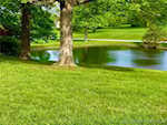 1861 Old Salem Rd Lanesville IN 47136 | MLS 202508168 Photo 4