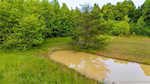 3279 E Lovers Ln Scottsburg IN 47170 | MLS 202508617 Photo 58