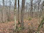 8261 W Cox Ferry Rd Campbellsburg IN 47108 | MLS 2024012733 Photo 42