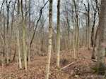 8261 W Cox Ferry Rd Campbellsburg IN 47108 | MLS 2024012733 Photo 41