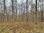8261 W Cox Ferry Rd Campbellsburg IN 47108 | MLS 2024012733 Photo 40