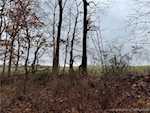 8261 W Cox Ferry Rd Campbellsburg IN 47108 | MLS 2024012733 Photo 37