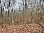 8261 W Cox Ferry Rd Campbellsburg IN 47108 | MLS 2024012733 Photo 35