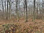 8261 W Cox Ferry Rd Campbellsburg IN 47108 | MLS 2024012733 Photo 33