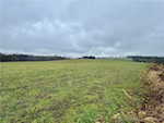 8261 W Cox Ferry Rd Campbellsburg IN 47108 | MLS 2024012733 Photo 30