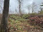 8261 W Cox Ferry Rd Campbellsburg IN 47108 | MLS 2024012733 Photo 45