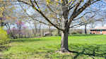 9015 Windsor Dr Sellersburg IN 47172 | MLS 202508686 Photo 44