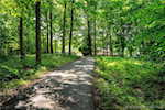 2918 Spickert Knob Rd Floyds Knobs IN 47119 | MLS 202508185 Photo 4