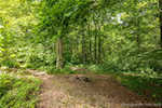 7178 S Flatwood Rd Pekin IN 47165 | MLS 202508702 Photo 57