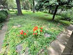 30 Mcbride Dr Jeffersonville IN 47130 | MLS 202508751 Photo 41