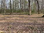 1807 Sterling Oaks Drive Sellersburg IN 47172 | MLS 202506401 Photo 9