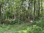 2900 Walker Rd Ne Corydon IN 47112 | MLS 202508652 Photo 75