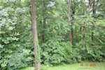6382 S Wild Greenwood St Paoli IN 47454 | MLS 202508761 Photo 10