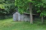 214 Leon Prall Rd Otisco IN 47163 | MLS 202508782 Photo 6