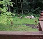 4250 Corydon Ridge Road Northeast Corydon IN 47112 | MLS 202508779 Photo 4