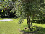 451 Miller Ave Clarksville IN 47129 | MLS 202508266 Photo 16