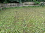 451 Miller Ave Clarksville IN 47129 | MLS 202508266 Photo 41