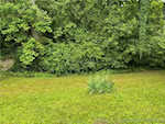 451 Miller Ave Clarksville IN 47129 | MLS 202508266 Photo 40