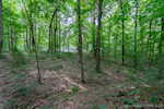 4930 Corydon Ridge Rd Ne Corydon IN 47112 | MLS 202508770 Photo 72