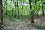 4930 Corydon Ridge Rd Ne Corydon IN 47112 | MLS 202508770 Photo 71