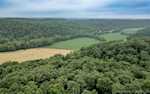 4300 E Nicholson Hollow Rd Salem IN 47167 | MLS 202508788 Photo 55
