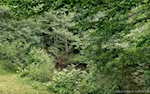 4300 E Nicholson Hollow Rd Salem IN 47167 | MLS 202508788 Photo 17