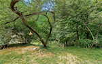4300 E Nicholson Hollow Rd Salem IN 47167 | MLS 202508788 Photo 65