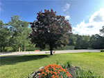 5005 E Shoreline Dr Floyds Knobs IN 47119 | MLS 202508165 Photo 37