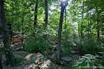 920 Oakland Dr New Albany IN 47150 | MLS 202508564 Photo 23