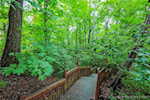 920 Oakland Dr New Albany IN 47150 | MLS 202508564 Photo 15