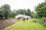 6430 E Private Road 600 N North Vernon IN 47265 | MLS 202508933 Photo 33