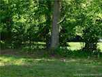 1421 E Water St Borden IN 47106 | MLS 202508007 Photo 11