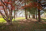 4167 E Luther Rd Floyds Knobs IN 47119 | MLS 202507452 Photo 10