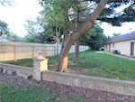 802 E Old 60 Salem IN 47167 | MLS 202508546 Photo 7