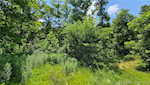 4877 S Martinsburg Rd Salem IN 47167 | MLS 202508264 Photo 79