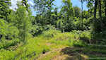 4877 S Martinsburg Rd Salem IN 47167 | MLS 202508264 Photo 65