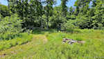 4877 S Martinsburg Rd Salem IN 47167 | MLS 202508264 Photo 63
