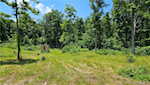 4877 S Martinsburg Rd Salem IN 47167 | MLS 202508264 Photo 7