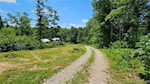4877 S Martinsburg Rd Salem IN 47167 | MLS 202508264 Photo 5
