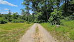 4877 S Martinsburg Rd Salem IN 47167 | MLS 202508264 Photo 4